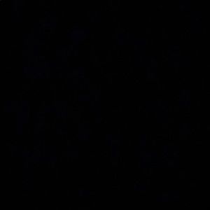 Meet your Posher, Bonina